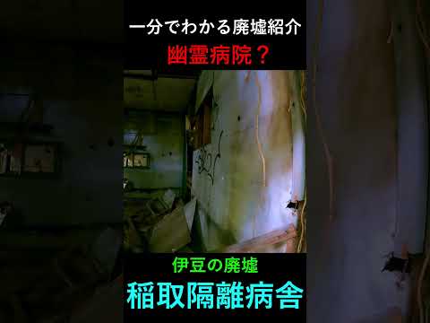 【1分で廃墟紹介】伊豆の廃墟「稲取隔離病舎」の行き方と見どころ #廃墟  #静岡 #街歩き #伊豆 #観光