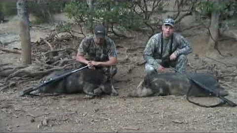 2011 pig hunt