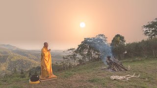 NIKAYA Thiền Quán - Bất Tịnh - 32 Thể Trược - Xác Chết & Trải Tâm Từ Rộng Lớn