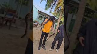 Snake Time #travel #thrill