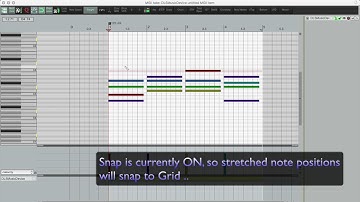 Reaper MIDI Editor: The Arpeggio/Strumming Tool
