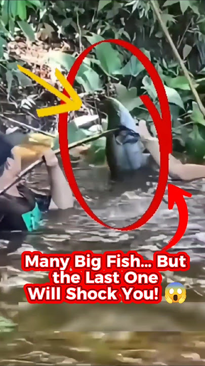 Mereka Menangkap Banyak Ikan Besar… Tapi Yang Terakhir Akan Mengejutkanmu! 😱🔥 #ikanraksasa #monst...
