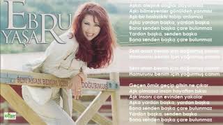 Ebru Yaşar - Benim İçin Doğurmuş (Orijinal Karaoke) Resimi