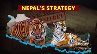 How Nepal doubled Tigers Population 