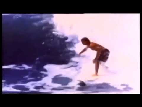 Dean Randazzo ( surf edit )