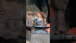 Bada Mahadev Cave in MP 🙏🏻#pachmarhi #guptmahadev #badamahadev