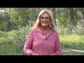 How Homeowners Can Safeguard Their Property from Wildfire Risks | Forest to Frontier