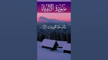 تلاوة خاشعة ومؤثرة للقارئ طارق زياد #راحة_نفسية #القرآن #ترند #لايك #حالات_واتس
