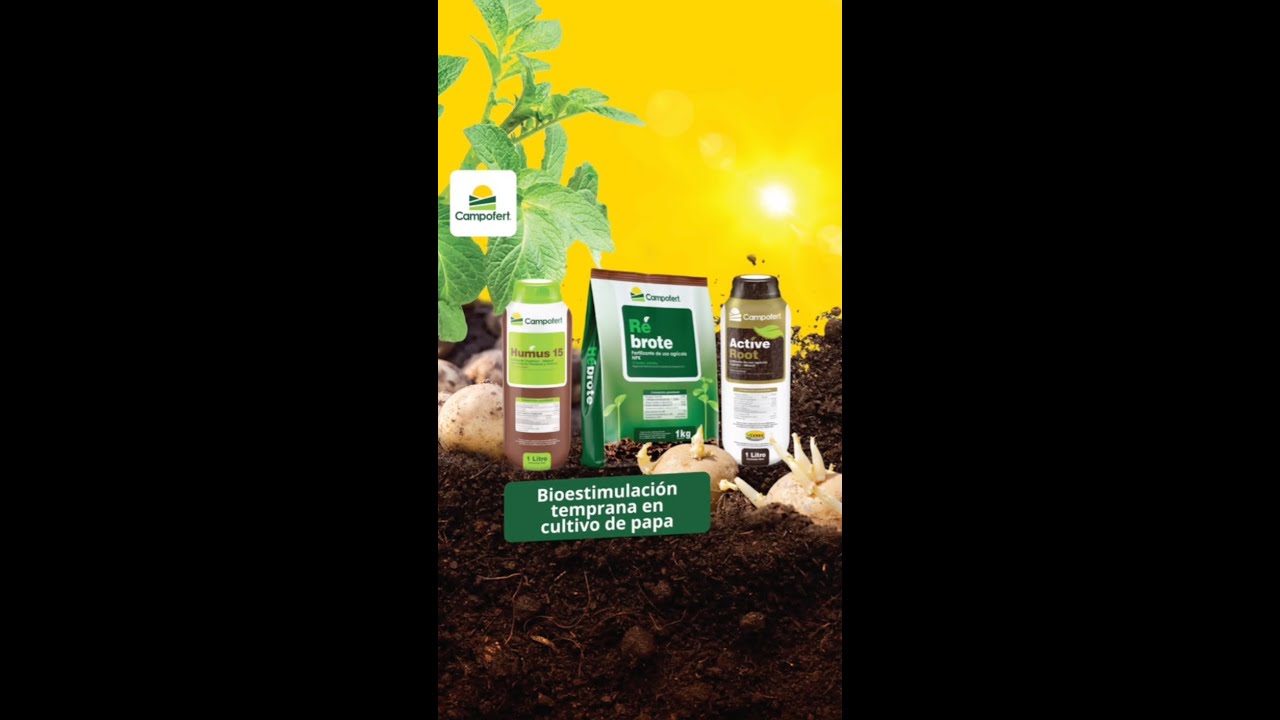 🥔¡Fórmula de bioestimulación en siembra para cultivo de papa!