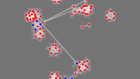 Network Animation - Selfish Link Adaptation for Cooperation (SLAC)