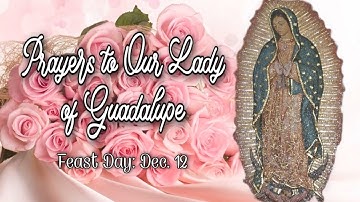 Prayers to Our Lady of Guadalupe : Feast Day: December 12