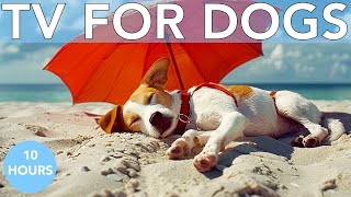 10 Hours AntiAnxiety and Boredom TV for Dogs with Relaxing Music!