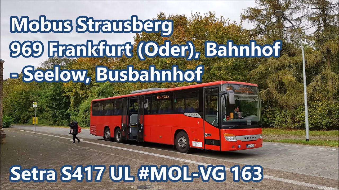 Mobus Märkisch-Oderland - Linie 969, Setra S417 UL #MOL-VG 163
