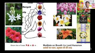 Doctor Ranjan Se Pucho. ZBH