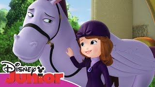 Sofia Den Første Hesten Minimus Og Flyveopvisningen - Disney Junior Danmark