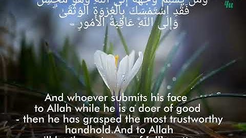 آيات من القرآن الكريم 🌹 ،القاريء محمد الغزالي ، سورة لقمان