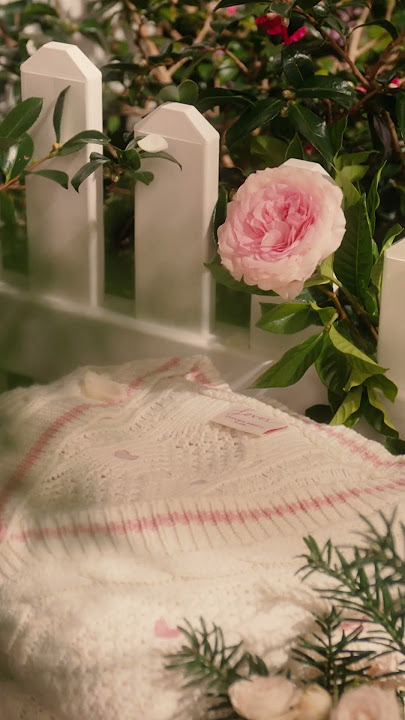 #LoverCardigan! 💘 Available for 72 hours or while supplies last at store.taylorswift.com.
