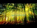 Top 50 best piano music for sleep and study Relaxing, soothing, wonderful - The most relaxing music