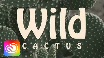 How to Make Stunning Social Graphics | Adobe Express