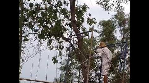 Tp rồng thi công tại chùa thái sơn núi cậu 0968395041