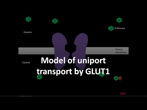 Video: Ortopedická Fenotypizácia Deficitu NGLY1 Pomocou Medzinárodného Registra Chorôb Spôsobeného Rodinou