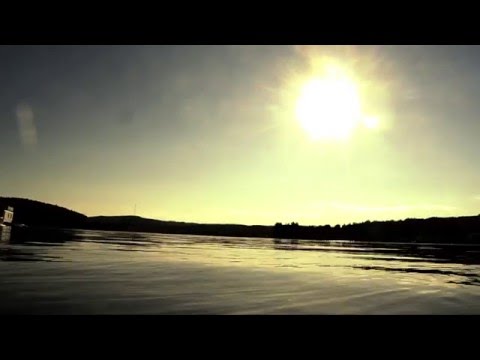 Malamujér - Dead Flowers Don't Bloom (Official Music Video)