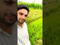 🥠Mausam Bada рџ Aashiqana Hai пїјпїјhindisong Song Bollywood Popularsong пїј пїјпїј 🥠Mausam Bada рџ Aashiqana Hai пїјпїјhindisong Song Bollywood Popularsong пїј пїјпїј