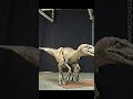 Velociraptor test for Jurassic Park (1993)