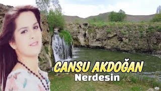 Cansu Akdoğan - Nerdesin-Dertli duygulu yürekten okunan türkü Resimi