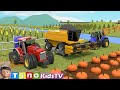 Farm vehicles show  tractor harvester and other trucks for kids