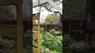 Slow motion rain test with iPhone's newest camera #rain #slowmotion