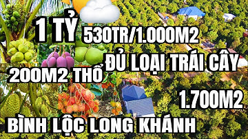 Chú 6 kẹt tiền bán gấp, vườn trái cây tâm huyết, thổ cư 200m, Bình Lộc Long khánh