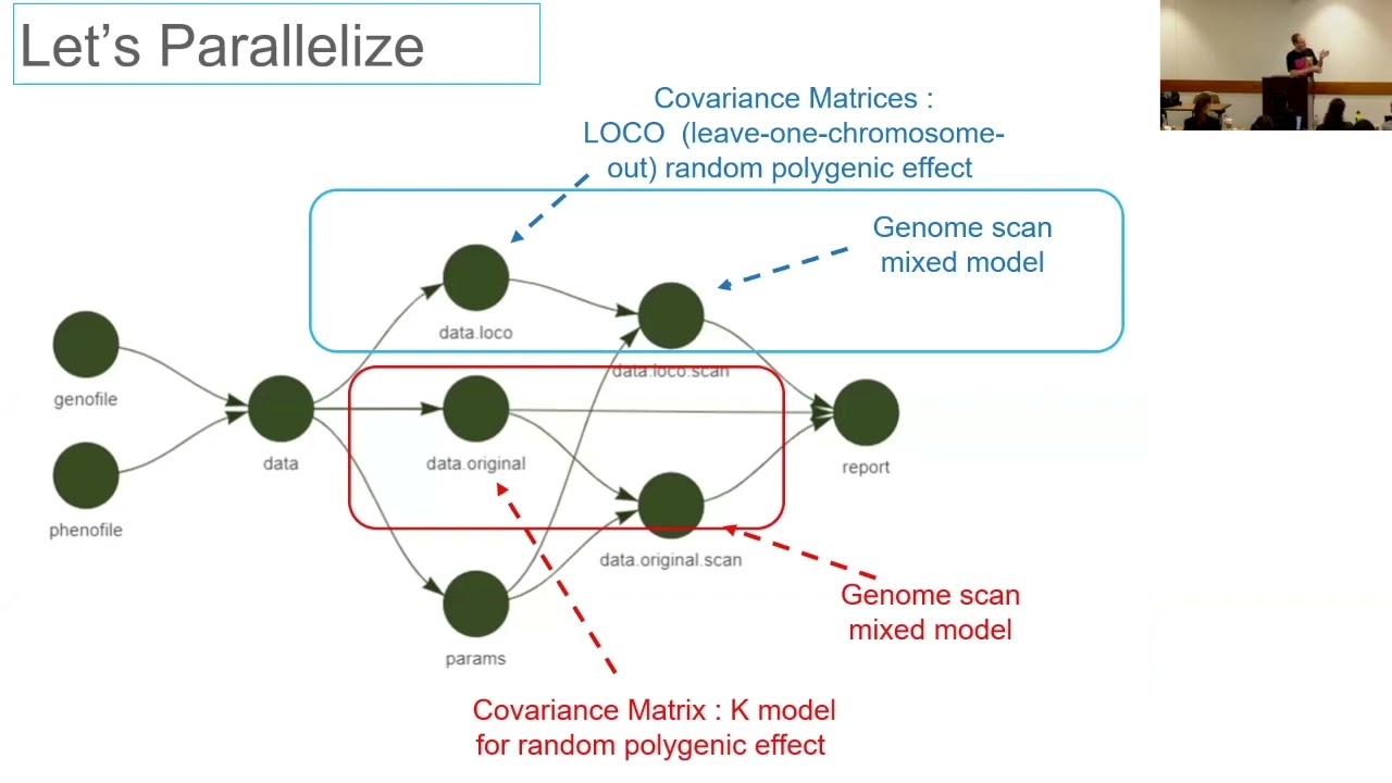 Building Polyploid Statistical Genetics Workflows in R with the Targets & Future Packages (1/13/23)