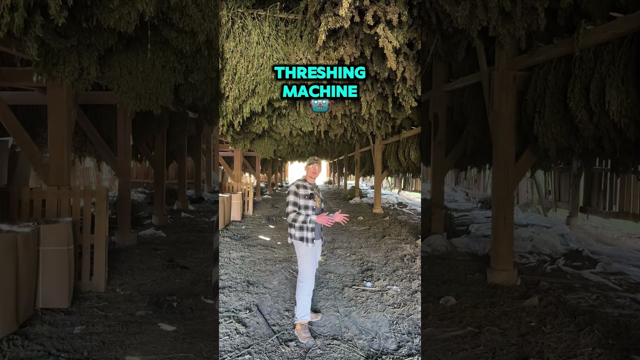 What's in this barn used to be illegal