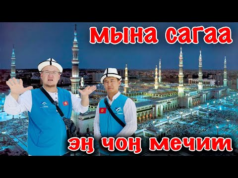 Video: Чоң Феникстеги зыярат кылуу үчүн эң мыкты 11 парк