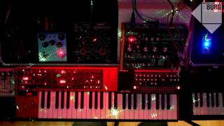 Burg - Dupotto Dreadbox Erebus Vs Strymon Bluesky - Ethereal Jam Session