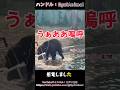 電気柵でクマが感電して溺れてしまったぞ！！#熊 #ヒグマ #animals #動物 #おすすめ