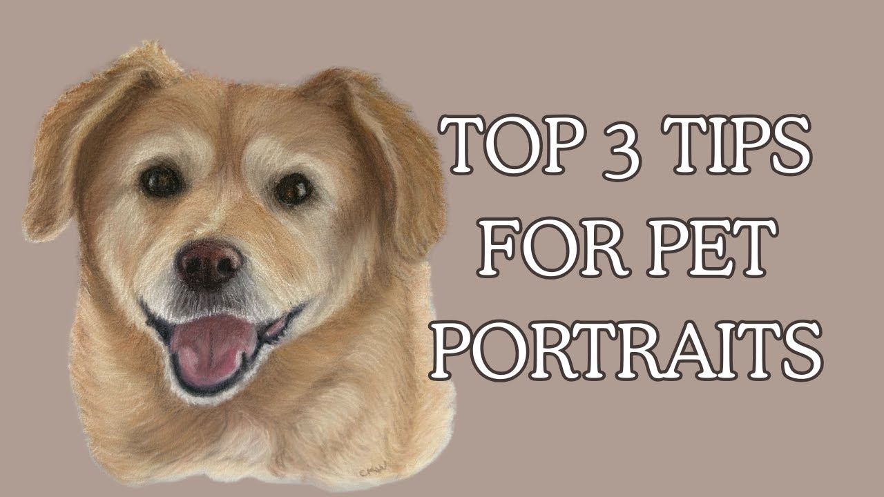 TOP TIPS FOR PET PORTRAITS
