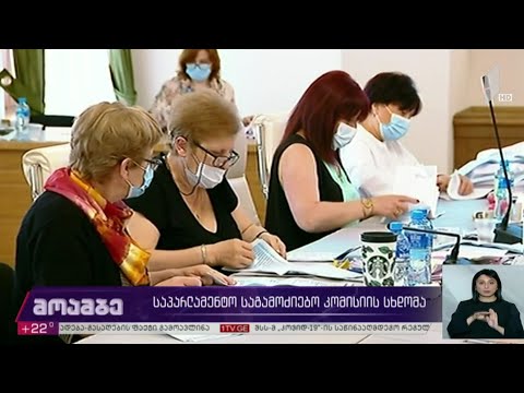 საპარლამენტო საგამოძიებო კომისიის სხდომა