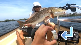 Fishing with cut bait and gulp shrimp!(Easiest technique for HUGE FISH) NON STOP ACTION!