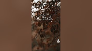 مقاطع قرآن قصيرة ||• القارئ:  عبدالله الموسى •|| سورة الانعام 🤍✨