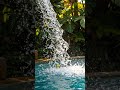 5 Hidden Hawaiian Swimming Holes That Will Take Your Breath Away