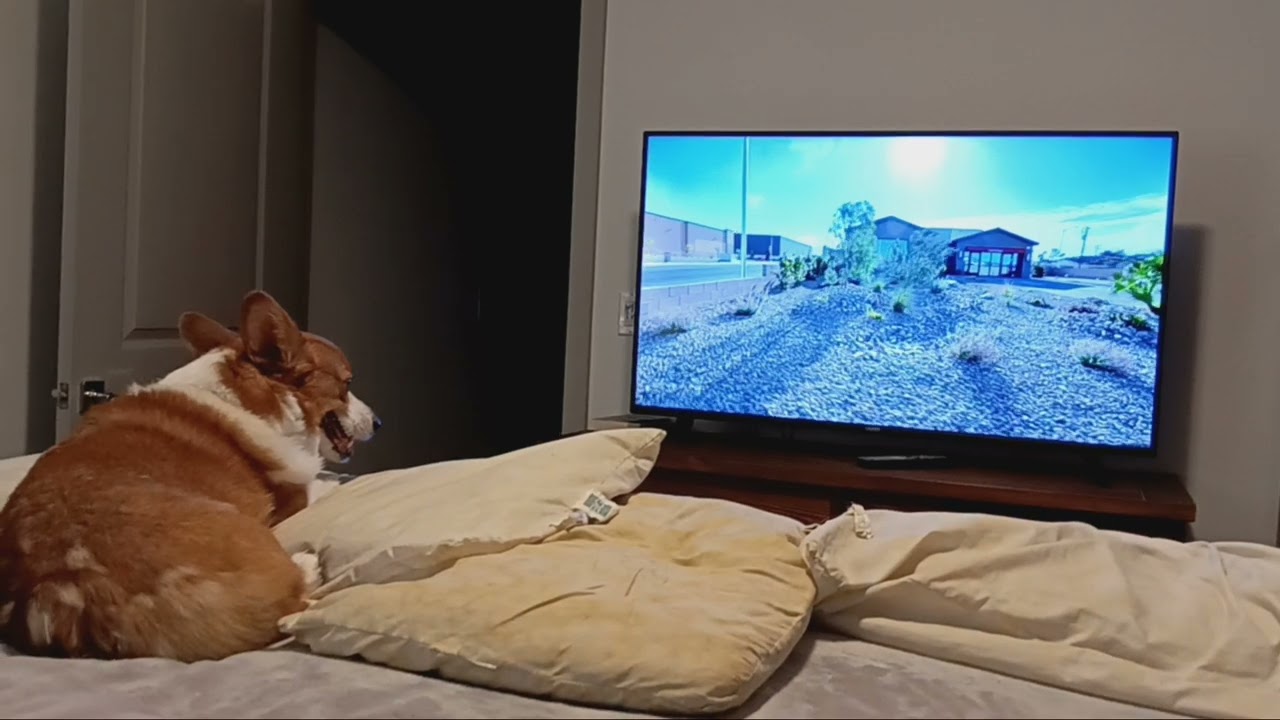 Dexter the Corgi likes @AngeloHomeTours Havenwood by Taylor Morrison