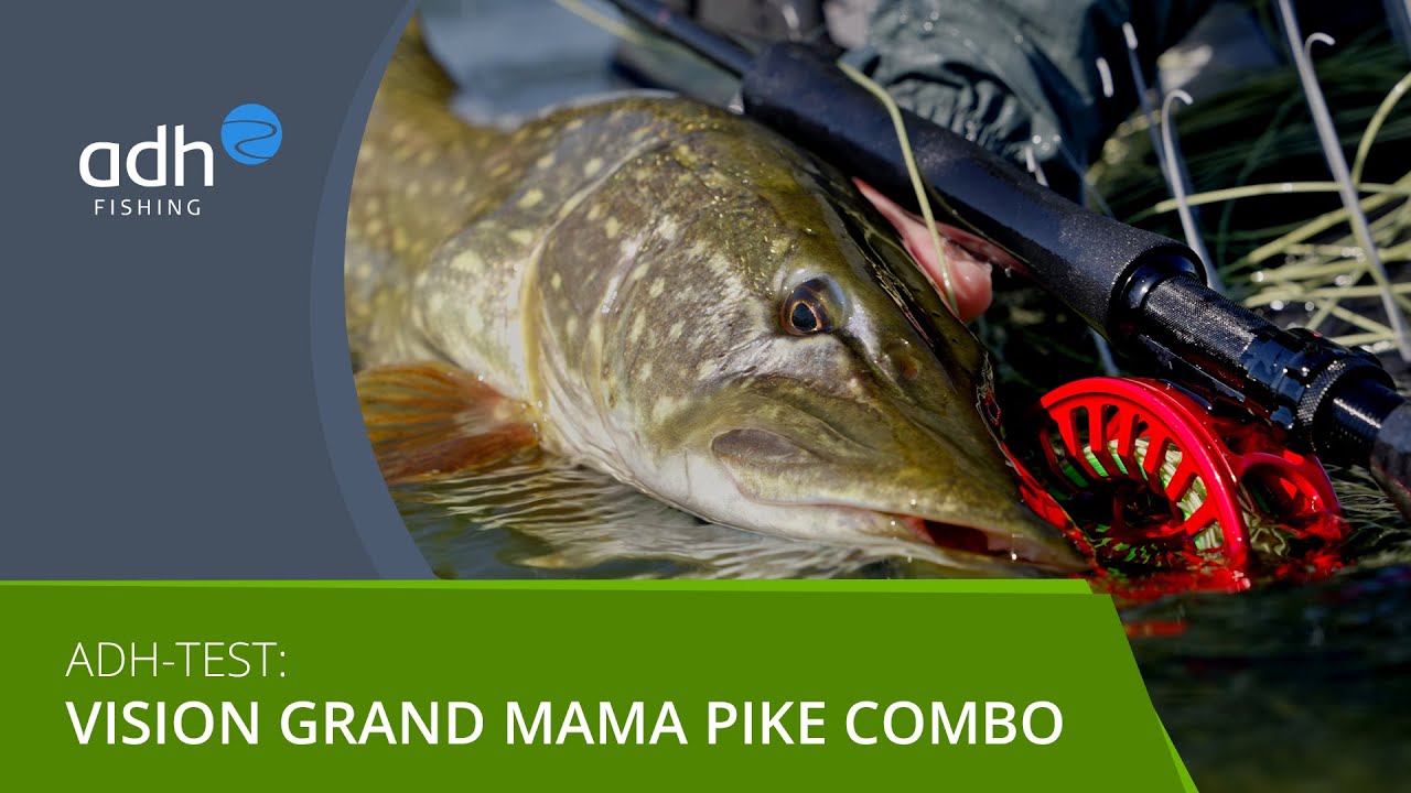 Gear Review: Vision Grand Mama Hecht Combo - die beste Rute, Rolle & Schnur Fly-Combo unter 500€