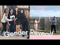 Exciting Gender Reveal Party!