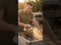 The Battle: $200 Premium Compost Vs. My Zero-Cost Worm Gold