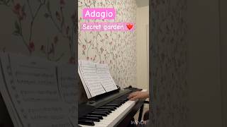 #secretgarden #adagio #piano #love #relaxing #miracle #beauty #music #музыка #музыкадлядуши #shorts