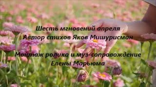 Шесть мгновений апреля. Автор стихов Яков Мишурисман / ролик и муз-сопровождение Елены Марьюма