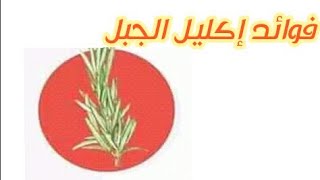 فوائد إكليل الجبل