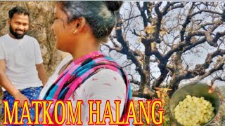 Sardi Situng re Matkam Halang#santali #santalivlog #newvlog #entertainment #dailyvlog @sanveer123